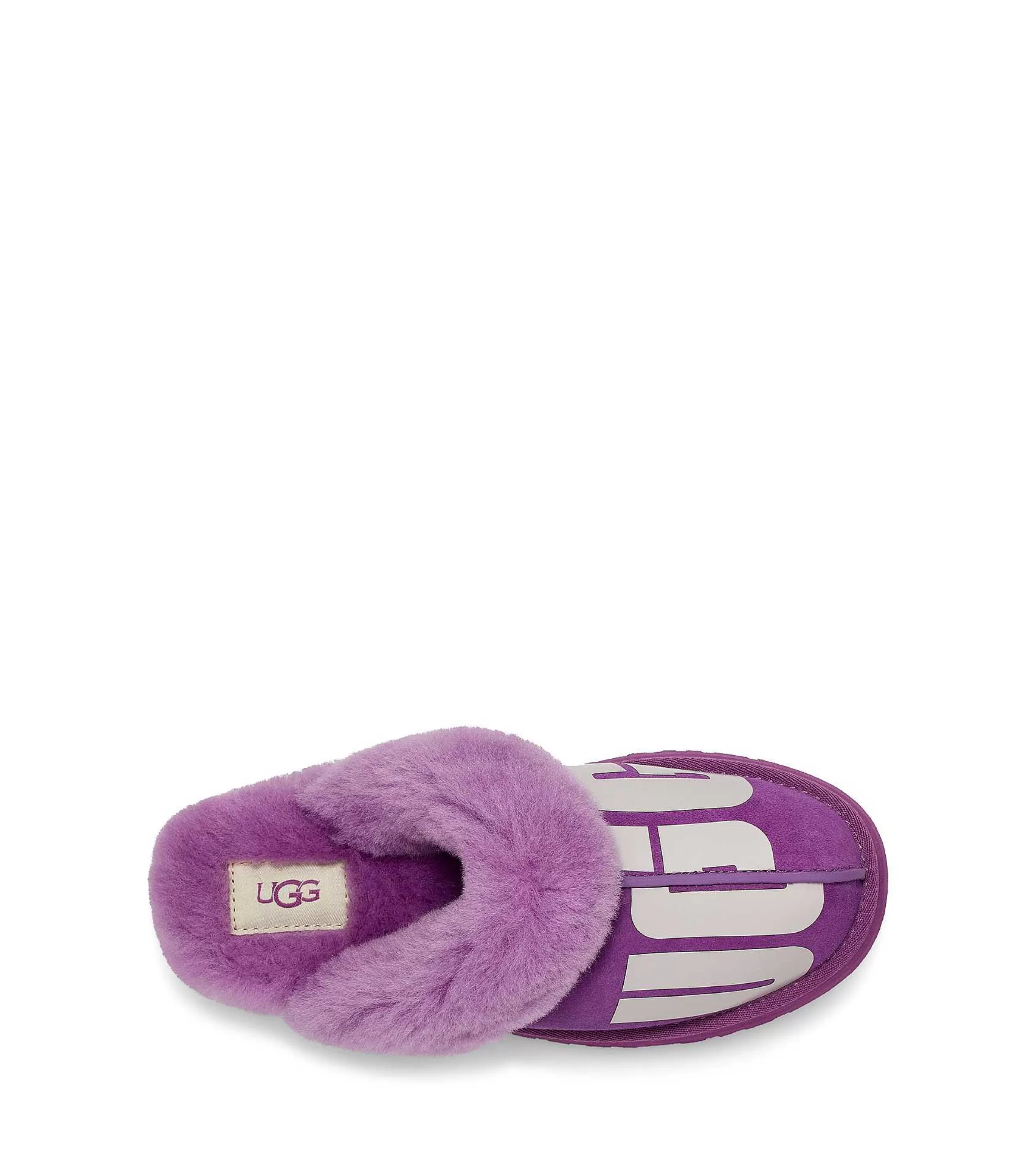 Kapcie | Kobieta UGG Dyskietka Chopd Purpurowe Niebo